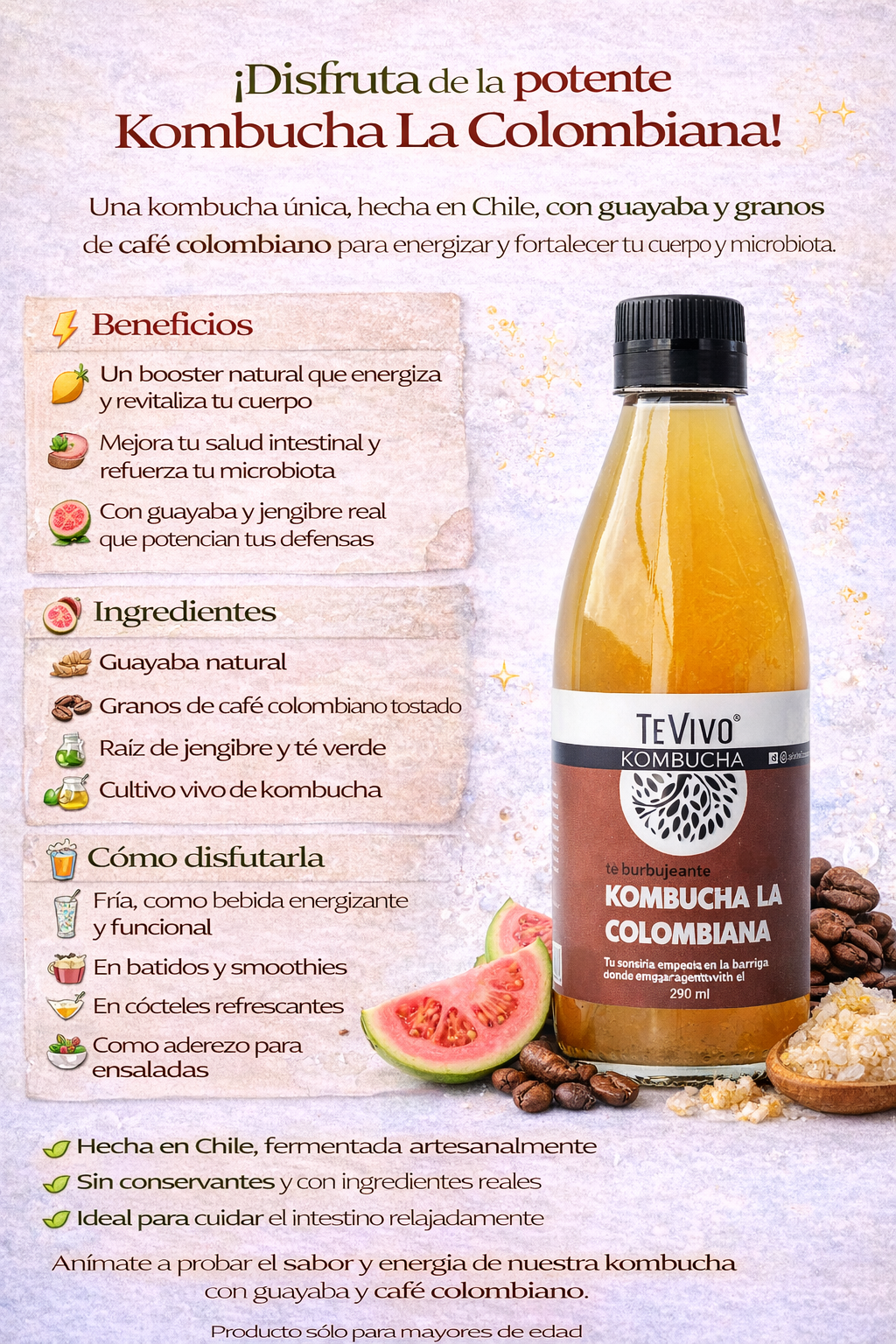 Kombucha La Colombiana - TeVivo x290ml