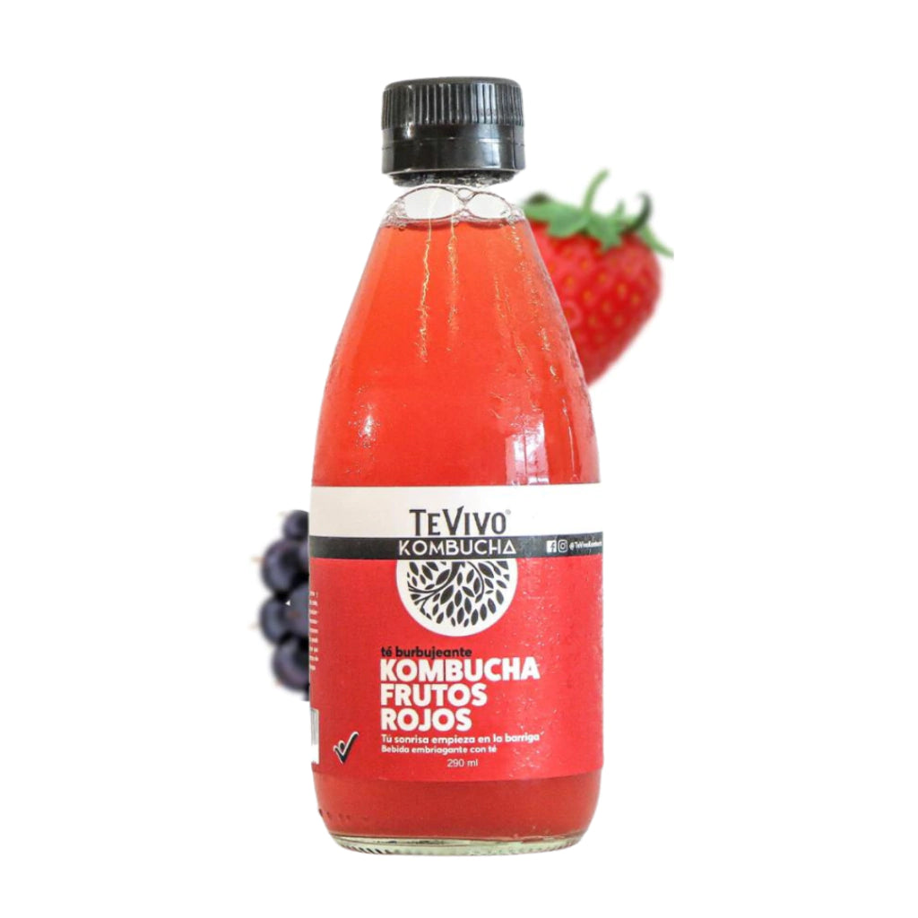 Kombucha Frutos Rojos - TeVivo