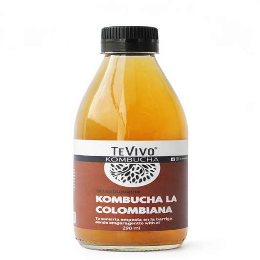 Kombucha La Colombiana - TeVivo x290ml