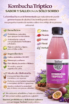 Kombucha Tríptico - TeVivo