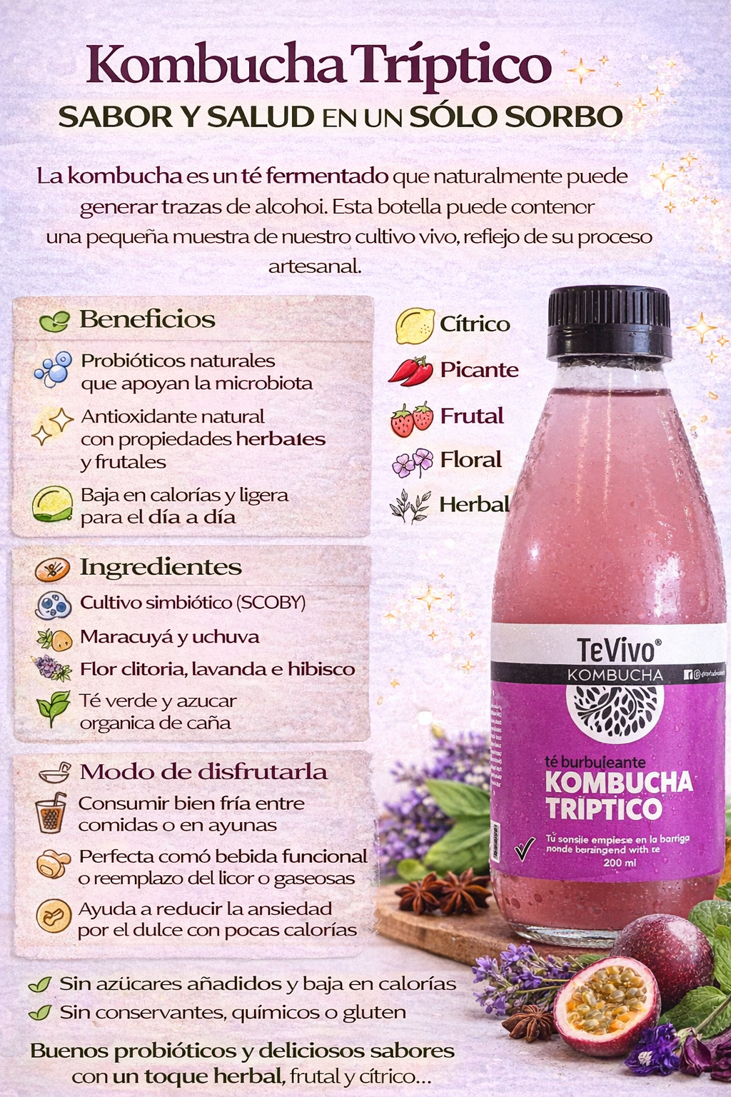 Kombucha Tríptico - TeVivo