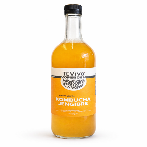Kombucha con Jengibre - TeVivo