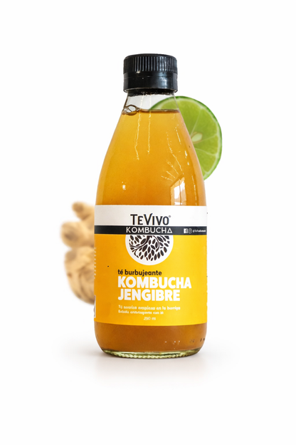 Kombucha con Jengibre - TeVivo