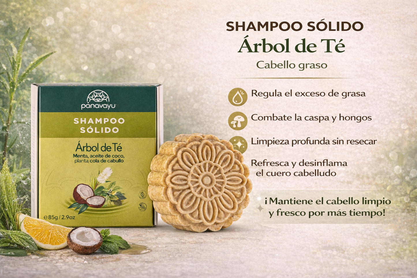 Shampoo Sólido - Panavayu x85g