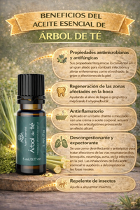 Arbol de te