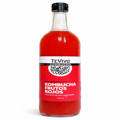 Kombucha Frutos Rojos - TeVivo