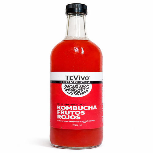 Kombucha Frutos Rojos - TeVivo
