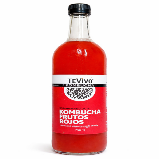Kombucha Frutos Rojos - TeVivo