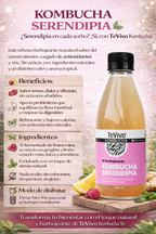 Kombucha Serendipia - TeVivo x290ml