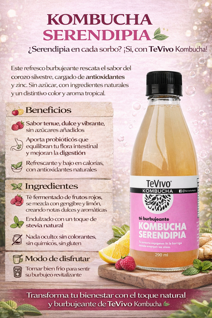 Kombucha Serendipia - TeVivo x290ml