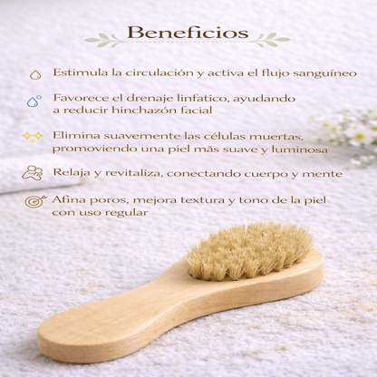 Cepillo Facial En Seco - Nativas