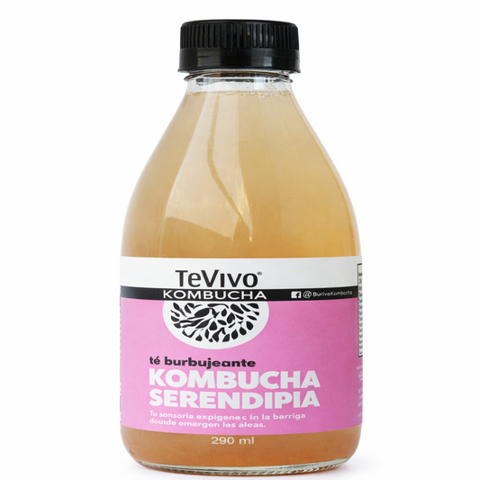 Kombucha Serendipia - TeVivo x290ml